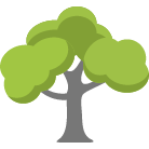 Port Orange Tree Removal Service