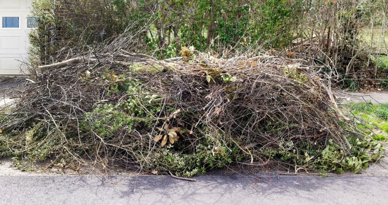 Cleanup After Tree Removal