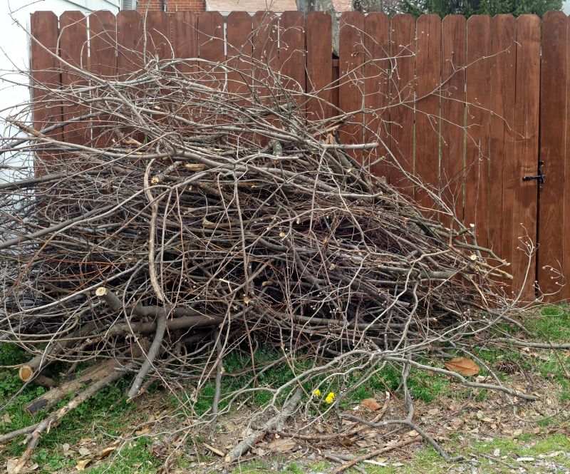 Clearing Debris