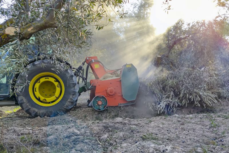 Summer Tree Cutting