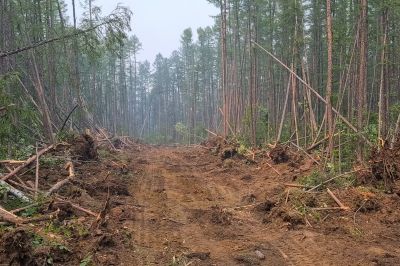 Land Clearing Overview